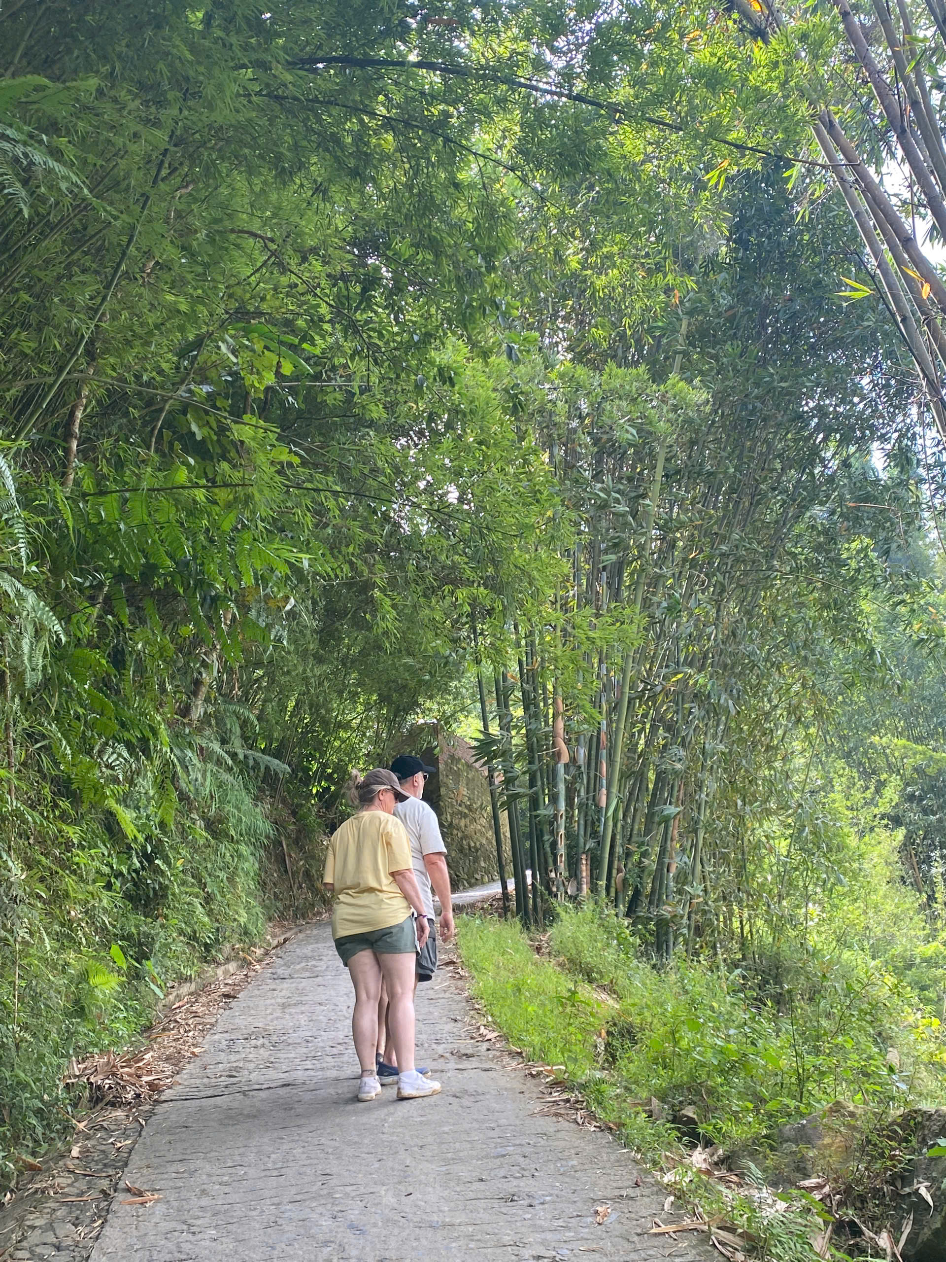 Half-Day Sapa Trekking Tour to Lao Chai & Ta Van